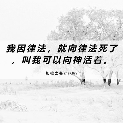 Picture 06 - 加 拉 太 书 2:19 CUVS - 我 因 律 法 ， 就 向 律 法 死 了 ， - Bible Verse Picture