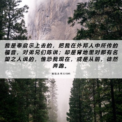 Picture 06 - 加 拉 太 书 2:2 CUVS - 我 是 奉 启 示 上 去 的 ， 把 我 在 - Bible Verse Picture