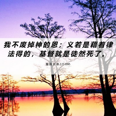 Picture 06 - 加 拉 太 书 2:21 CUVS - 我 不 废 掉 神 的 恩 ； 义 若 是 藉 - Bible Verse Picture
