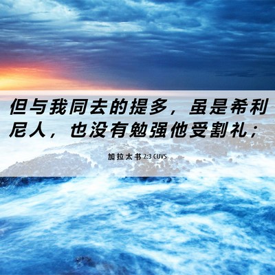 Picture 06 - 加 拉 太 书 2:3 CUVS - 但 与 我 同 去 的 提 多 ， 虽 是 希 - Bible Verse Picture