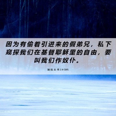 Picture 06 - 加 拉 太 书 2:4 CUVS - 因 为 有 偷 着 引 进 来 的 假 弟 兄 - Bible Verse Picture