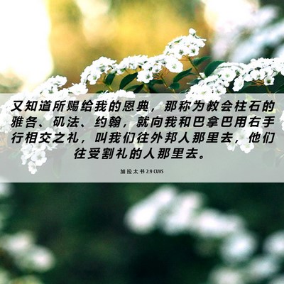 Picture 06 - 加 拉 太 书 2:9 CUVS - 又 知 道 所 赐 给 我 的 恩 典 ， 那 - Bible Verse Picture