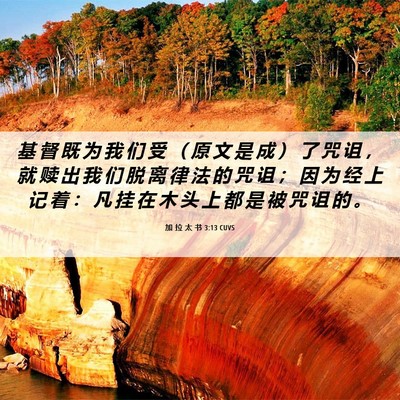Picture 06 - 加 拉 太 书 3:13 CUVS - 基 督 既 为 我 们 受 （ 原 文 是 成 - Bible Verse Picture
