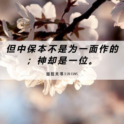 Picture 06 - 加 拉 太 书 3:20 CUVS - 但 中 保 本 不 是 为 一 面 作 的 ； - Bible Verse Picture
