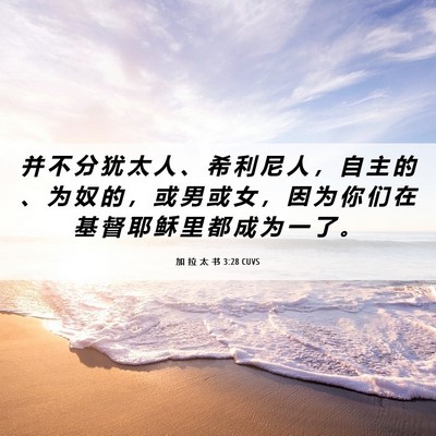 Picture 06 - 加 拉 太 书 3:28 CUVS - 并 不 分 犹 太 人 、 希 利 尼 人 ， - Bible Verse Picture