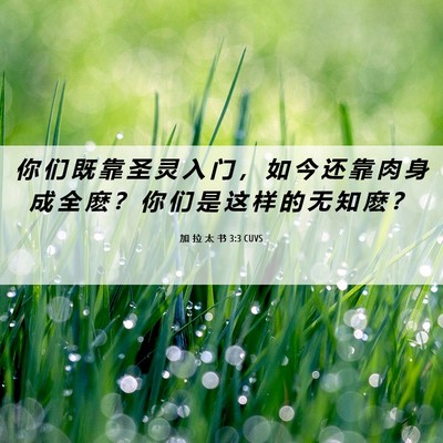 Picture 06 - 加 拉 太 书 3:3 CUVS - 你 们 既 靠 圣 灵 入 门 ， 如 今 还 - Bible Verse Picture