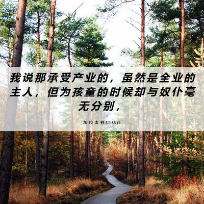 Picture 06 - 加 拉 太 书 4:1 CUVS - 我 说 那 承 受 产 业 的 ， 虽 然 是 - Bible Verse Picture