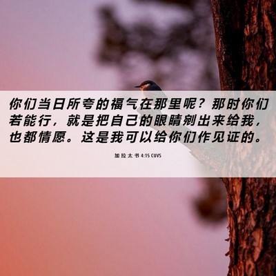 Picture 06 - 加 拉 太 书 4:15 CUVS - 你 们 当 日 所 夸 的 福 气 在 那 里 - Bible Verse Picture