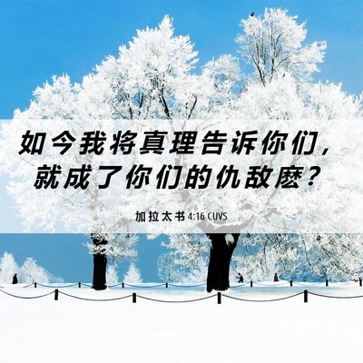 Picture 06 - 加 拉 太 书 4:16 CUVS - 如 今 我 将 真 理 告 诉 你 们 ， 就 - Bible Verse Picture