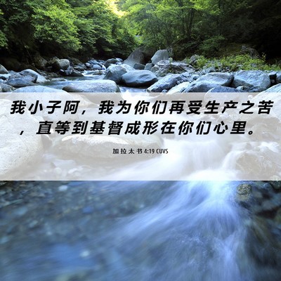 Picture 06 - 加 拉 太 书 4:19 CUVS - 我 小 子 阿 ， 我 为 你 们 再 受 生 - Bible Verse Picture