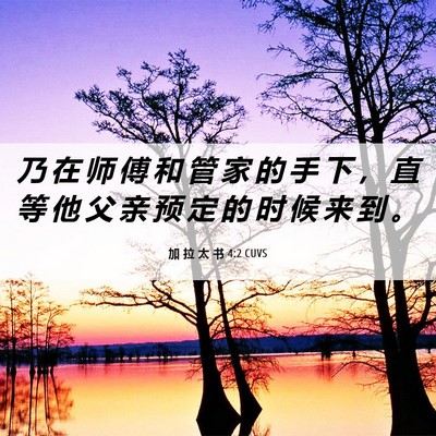 Picture 06 - 加 拉 太 书 4:2 CUVS - 乃 在 师 傅 和 管 家 的 手 下 ， 直 - Bible Verse Picture