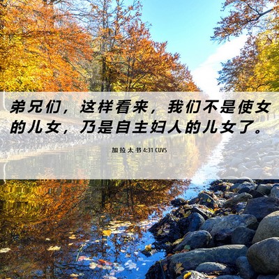 Picture 06 - 加 拉 太 书 4:31 CUVS - 弟 兄 们 ， 这 样 看 来 ， 我 们 不 - Bible Verse Picture