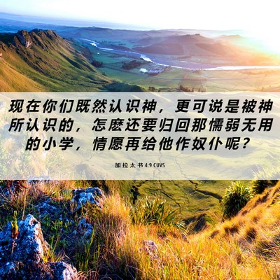 Picture 06 - 加 拉 太 书 4:9 CUVS - 现 在 你 们 既 然 认 识 神 ， 更 可 - Bible Verse Picture