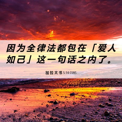Picture 06 - 加 拉 太 书 5:14 CUVS - 因 为 全 律 法 都 包 在 「 爱 人 如 - Bible Verse Picture