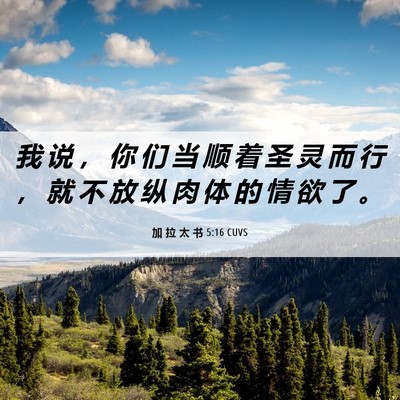 Picture 06 - 加 拉 太 书 5:16 CUVS - 我 说 ， 你 们 当 顺 着 圣 灵 而 行 - Bible Verse Picture