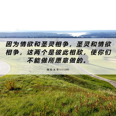 Picture 06 - 加 拉 太 书 5:17 CUVS - 因 为 情 欲 和 圣 灵 相 争 ， 圣 灵 - Bible Verse Picture