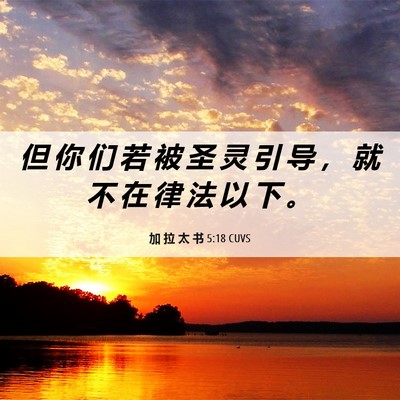 Picture 06 - 加 拉 太 书 5:18 CUVS - 但 你 们 若 被 圣 灵 引 导 ， 就 不 - Bible Verse Picture