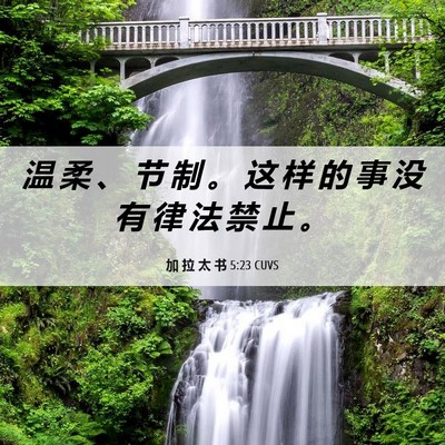 Picture 06 - 加 拉 太 书 5:23 CUVS - 温 柔 、 节 制 。 这 样 的 事 没 有 - Bible Verse Picture