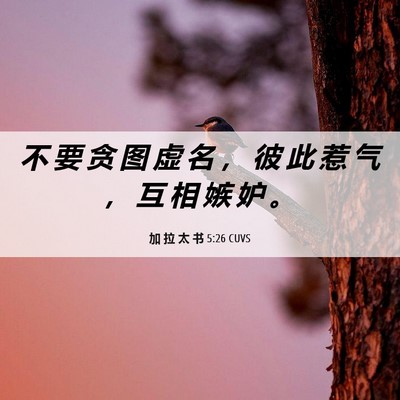 Picture 06 - 加 拉 太 书 5:26 CUVS - 不 要 贪 图 虚 名 ， 彼 此 惹 气 ， - Bible Verse Picture
