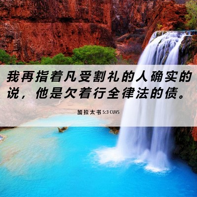 Picture 06 - 加 拉 太 书 5:3 CUVS - 我 再 指 着 凡 受 割 礼 的 人 确 实 - Bible Verse Picture