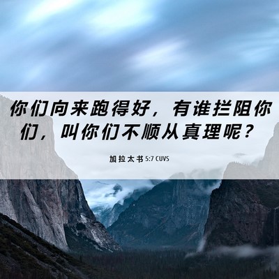 Picture 06 - 加 拉 太 书 5:7 CUVS - 你 们 向 来 跑 得 好 ， 有 谁 拦 阻 - Bible Verse Picture