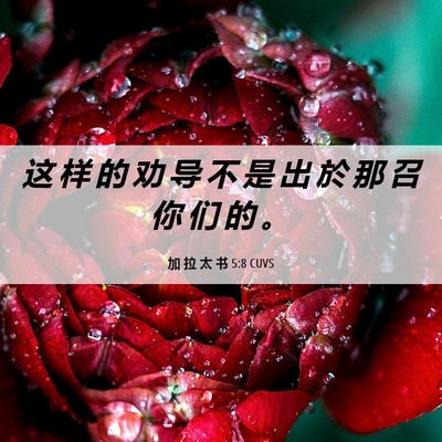Picture 06 - 加 拉 太 书 5:8 CUVS - 这 样 的 劝 导 不 是 出 於 那 召 你 - Bible Verse Picture