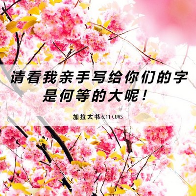 Picture 06 - 加 拉 太 书 6:11 CUVS - 请 看 我 亲 手 写 给 你 们 的 字 是 - Bible Verse Picture