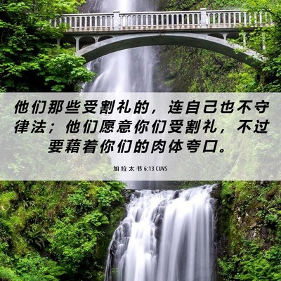 Picture 06 - 加 拉 太 书 6:13 CUVS - 他 们 那 些 受 割 礼 的 ， 连 自 己 - Bible Verse Picture