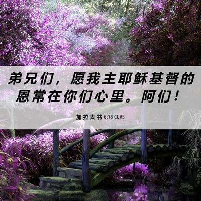 Picture 06 - 加 拉 太 书 6:18 CUVS - 弟 兄 们 ， 愿 我 主 耶 稣 基 督 的 - Bible Verse Picture