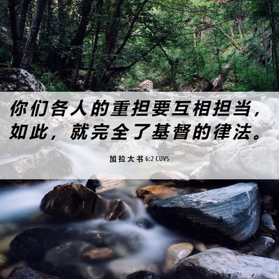 Picture 06 - 加 拉 太 书 6:2 CUVS - 你 们 各 人 的 重 担 要 互 相 担 当 - Bible Verse Picture