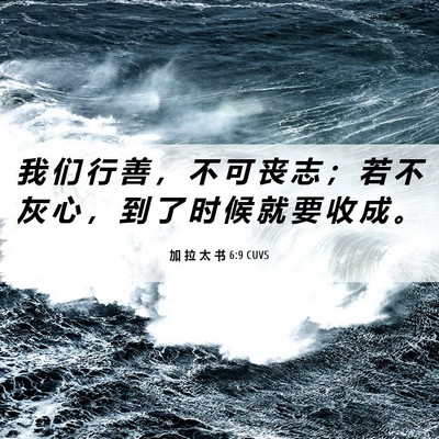 Picture 06 - 加 拉 太 书 6:9 CUVS - 我 们 行 善 ， 不 可 丧 志 ； 若 不 - Bible Verse Picture