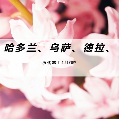 Picture 06 - 历 代 志 上 1:21 CUVS - 哈 多 兰 、 乌 萨 、 德 拉 - Bible Verse Picture
