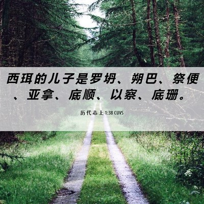 Picture 06 - 历 代 志 上 1:38 CUVS - 西 珥 的 儿 子 是 罗 坍 、 朔 巴 、 - Bible Verse Picture