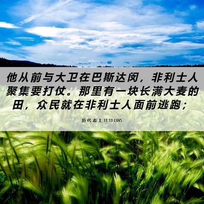 Picture 06 - 历 代 志 上 11:13 CUVS - 他 从 前 与 大 卫 在 巴 斯 达 闵 ， - Bible Verse Picture