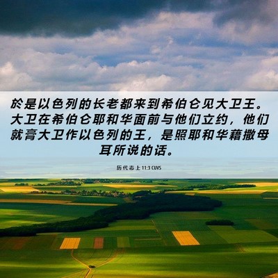 Picture 06 - 历 代 志 上 11:3 CUVS - 於 是 以 色 列 的 长 老 都 来 到 希 - Bible Verse Picture