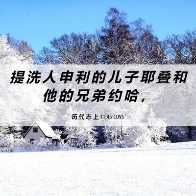 Picture 06 - 历 代 志 上 11:45 CUVS - 提 洗 人 申 利 的 儿 子 耶 叠 和 他 - Bible Verse Picture