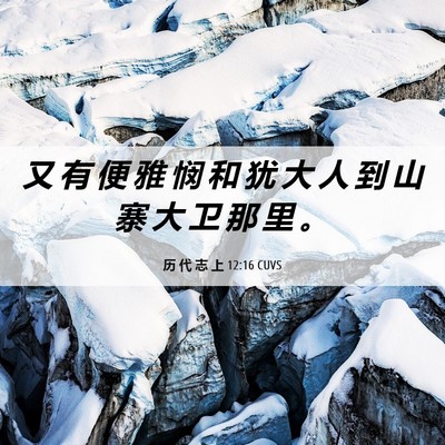 Picture 06 - 历 代 志 上 12:16 CUVS - 又 有 便 雅 悯 和 犹 大 人 到 山 寨 - Bible Verse Picture