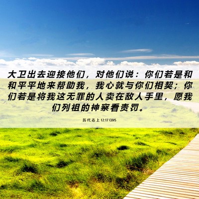 Picture 06 - 历 代 志 上 12:17 CUVS - 大 卫 出 去 迎 接 他 们 ， 对 他 们 - Bible Verse Picture
