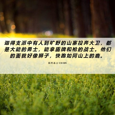 Picture 06 - 历 代 志 上 12:8 CUVS - 迦 得 支 派 中 有 人 到 旷 野 的 山 - Bible Verse Picture