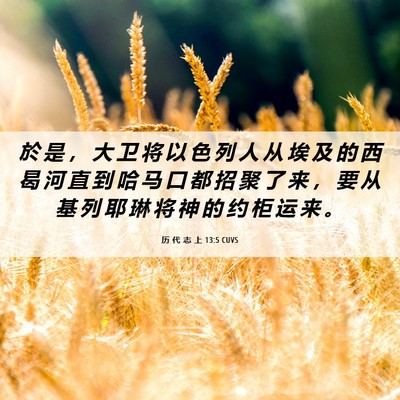Picture 06 - 历 代 志 上 13:5 CUVS - 於 是 ， 大 卫 将 以 色 列 人 从 埃 - Bible Verse Picture