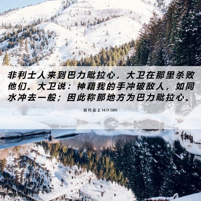 Picture 06 - 历 代 志 上 14:11 CUVS - 非 利 士 人 来 到 巴 力 毗 拉 心 ， - Bible Verse Picture