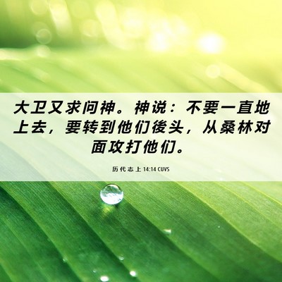 Picture 06 - 历 代 志 上 14:14 CUVS - 大 卫 又 求 问 神 。 神 说 ： 不 要 - Bible Verse Picture