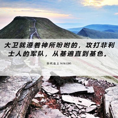 Picture 06 - 历 代 志 上 14:16 CUVS - 大 卫 就 遵 着 神 所 吩 咐 的 ， 攻 - Bible Verse Picture