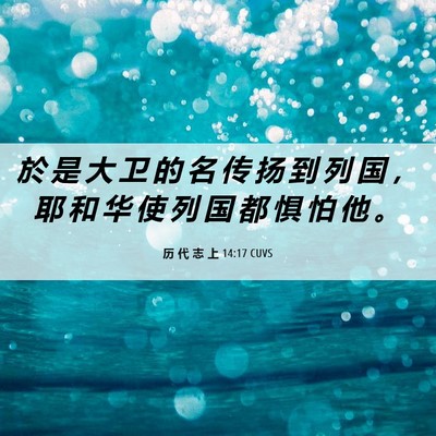 Picture 06 - 历 代 志 上 14:17 CUVS - 於 是 大 卫 的 名 传 扬 到 列 国 ， - Bible Verse Picture