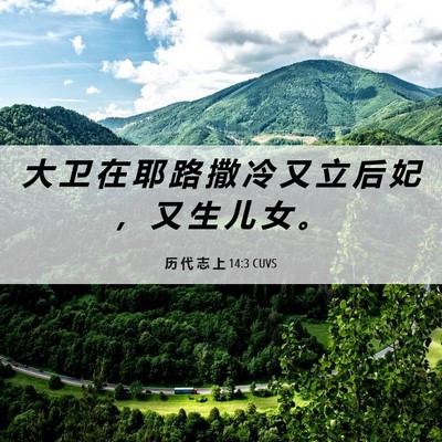 Picture 06 - 历 代 志 上 14:3 CUVS - 大 卫 在 耶 路 撒 冷 又 立 后 妃 ， - Bible Verse Picture