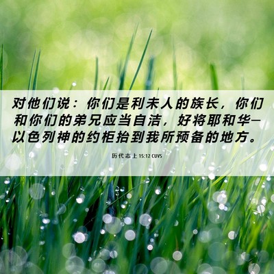 Picture 06 - 历 代 志 上 15:12 CUVS - 对 他 们 说 ： 你 们 是 利 未 人 的 - Bible Verse Picture