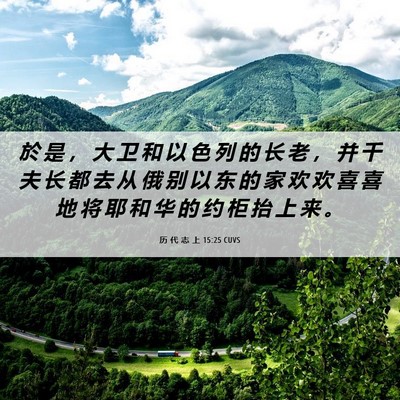 Picture 06 - 历 代 志 上 15:25 CUVS - 於 是 ， 大 卫 和 以 色 列 的 长 老 - Bible Verse Picture