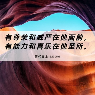 Picture 06 - 历 代 志 上 16:27 CUVS - 有 尊 荣 和 威 严 在 他 面 前 ， 有 - Bible Verse Picture