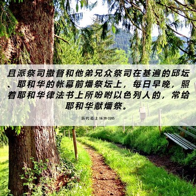 Picture 06 - 历 代 志 上 16:39 CUVS - 且 派 祭 司 撒 督 和 他 弟 兄 众 祭 - Bible Verse Picture