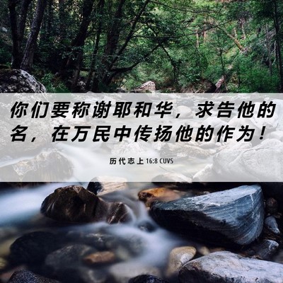 Picture 06 - 历 代 志 上 16:8 CUVS - 你 们 要 称 谢 耶 和 华 ， 求 告 他 - Bible Verse Picture